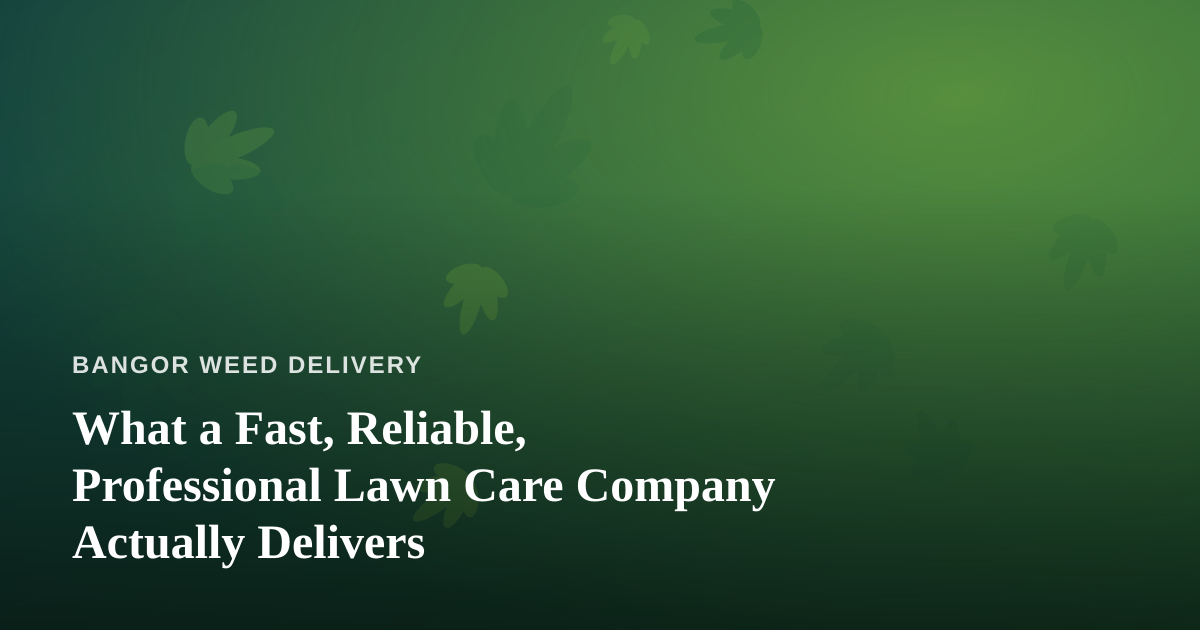 What a Fast, Reliable, Professional Lawn Care Company Actually Delivers