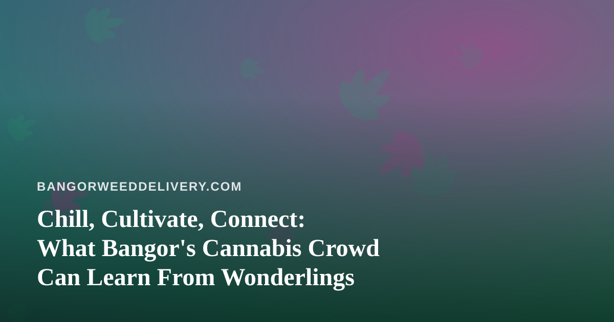 Chill, Cultivate, Connect: What Bangor’s Cannabis Crowd Can Learn From Wonderlings